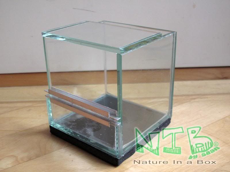 Convert a glass aquarium to a European style terrarium Dendroboard